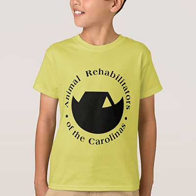 Save The Sea - Görsel 4